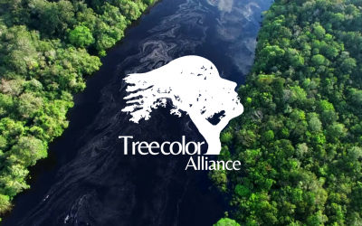 ? Découvrez Treecolor Alliance ?
